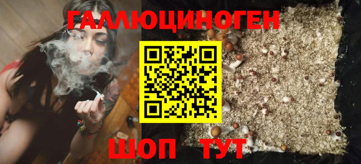Галлюциногенные грибы MAGIC MUSHROOMS  Вход с VPN  Псилоцибиновые грибы прущие грибы  Павлово 