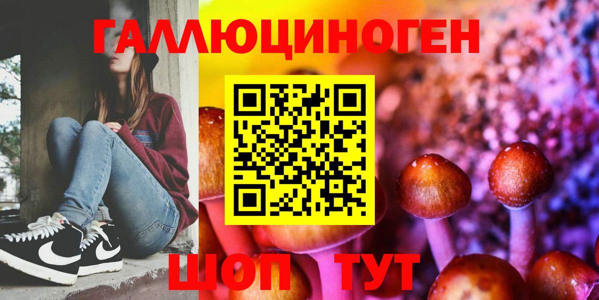 Псилоцибиновые грибы MAGIC MUSHROOMS Павлово
